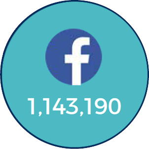 2017 BWHI Annual Report: Total Facebook Impressions