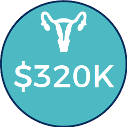 2017 BWHI Annual Report: Amount invested into reproductive justice